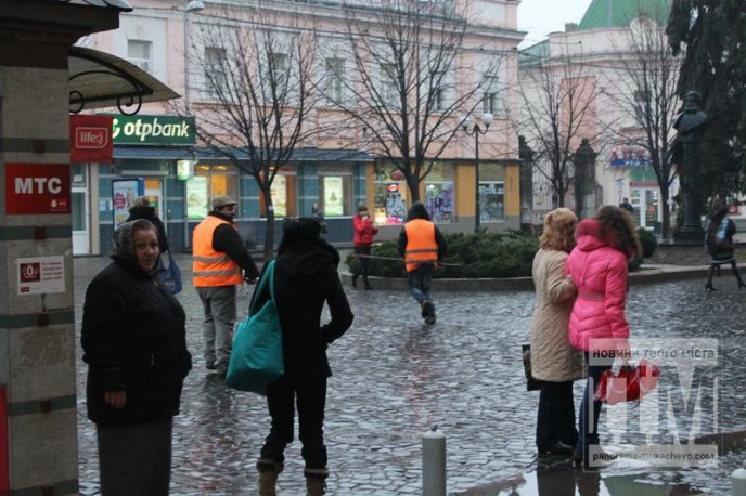 У Мукачеві комунальники досі "ганяються" за бездомними собаками (ФОТОФАКТ) – 02