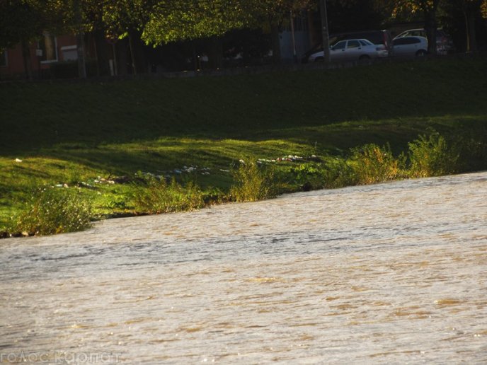 На березі Латориці у Мукачеві з’явилися купи пластикового сміття – 12 На березі Латориці у Мукачеві з’явилися купи пластикового сміття – 12