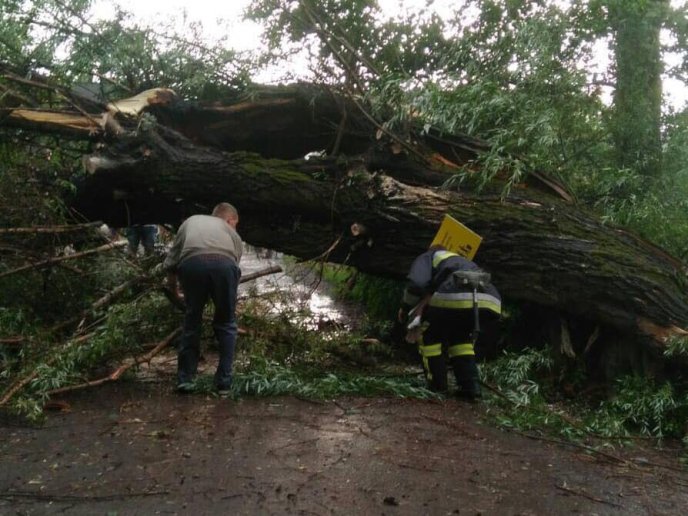 Рятувальники ліквідовували наслідки вчорашньої негоди – 02