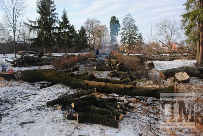 У Комсомольському парку Мукачева вирубують дерева (ФОТО) – 08