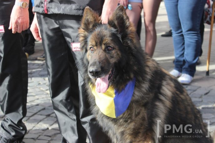 У Мукачеві урочисто відкрили чемпіонат світу зі слідової роботи службових собак – 49