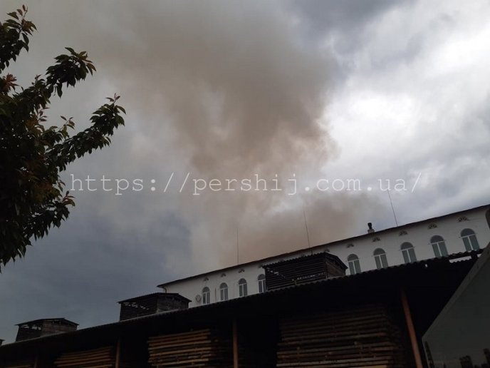 У Мукачеві на території підприємства "Інтер-Каштан" спалахнула пожежа – 02