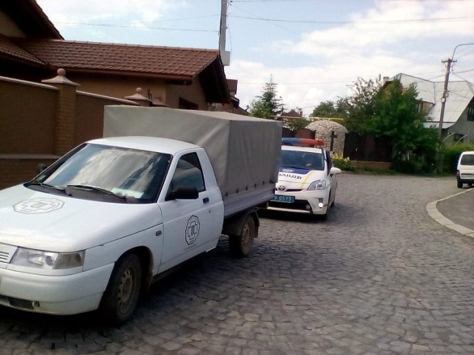 Ветеринар встиг врятувати лише одну тварину, – Єрміла Кость про масове отруєння собак у Мукачеві – 01 Ветеринар встиг врятувати лише одну тварину, – Єрміла Кость про масове отруєння собак у Мукачеві – 01