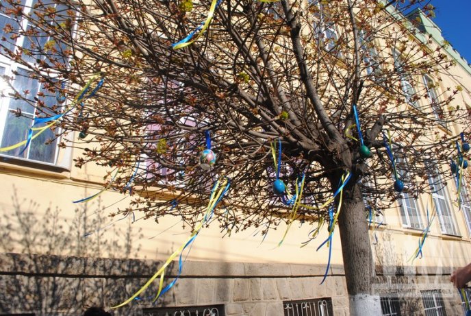 У Мукачеві студенти прикрашають дерева писанками та патріотичними стрічками (ФОТО) – 10