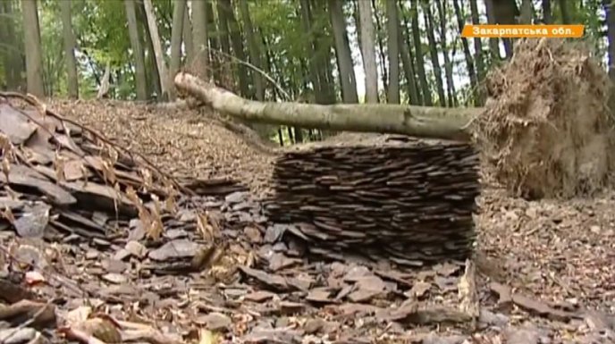 На Воловеччині патрульні затримали водія, який нелегально перевозив дорогоцінне каміння – 04