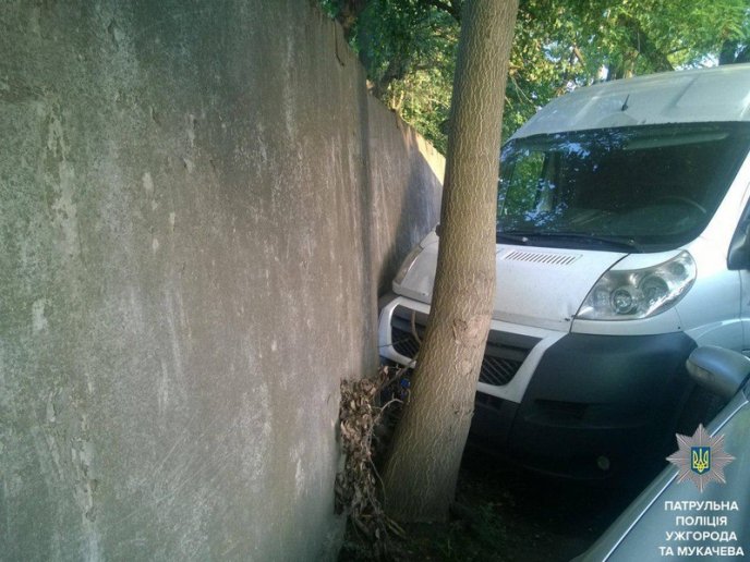 Майже смертельна доза алкоголю в крові призвела до ДТП – 01