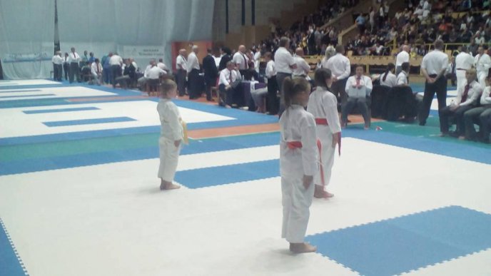 Закарпатці гідно виступили на Чемпіонаті Світу з Шотокан карате-до – 12