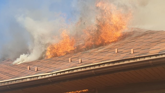 Закарпатські вогнеборці показали наслідки масштабної пожежі  – 10