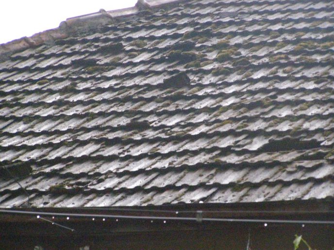 Побиті дахи будинків, вікна, автомобілі: негоду на Виноградівщині вже назвали "катастрофічною" – 02 Побиті дахи будинків, вікна, автомобілі: негоду на Виноградівщині вже назвали "катастрофічною" – 02