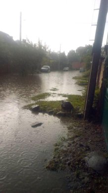 В Ужгороді потужний дощ з градом перетворив вулиці на ріки – 03