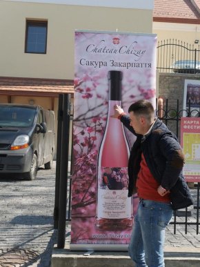 В Ужгороді тривають останні приготування до старту "Sakura Wine" – 12