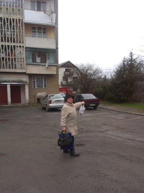 На вулиці Кармелюка в Ужгороді можуть встановити смітники та майданчики – 02