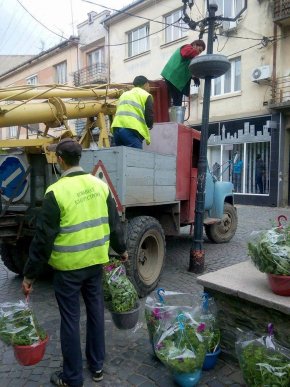 На міських світильниках Мукачева комунальники почали встановлювати вазони з квітами – 02