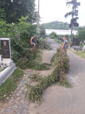 У Мукачеві взялися впорядковувати територію кладовища – 04