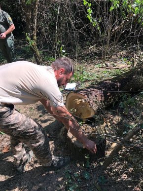 Екоінспектори розповіли, що виявили у природо-заповідному фонді на Закарпатті – 01
