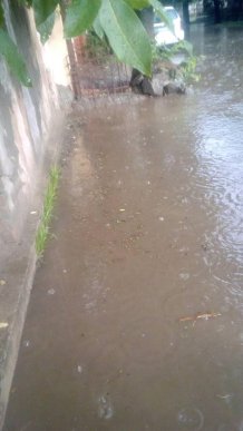 В Ужгороді потужний дощ з градом перетворив вулиці на ріки – 01