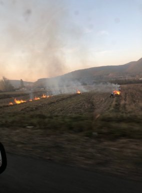 Практично всі села у їдкому диму: на Закарпатті люди масово спалюють сухе листя – 04 Практично всі села у їдкому диму: на Закарпатті люди масово спалюють сухе листя – 04