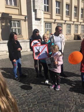 В Ужгороді відбувся марш за права тварин – 08