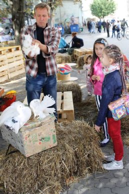 В Ужгороді триває святковий "Мост Сіті Фест" – 10