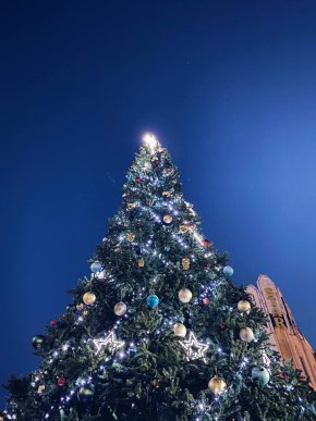 В центрі Мукачева дітлахи отримали солодкі подарунки – 01