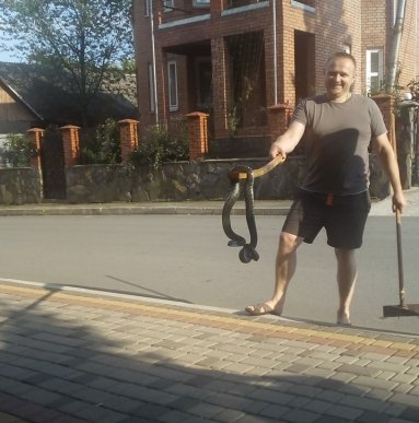 "Сичала так, що страхи брали", – чоловік виявив у себе в будинку велику змію – 02