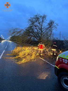 Повалені дерева, зірвані дахи, знеструмлені села: що вночі накоїла негода на Закарпатті – 06