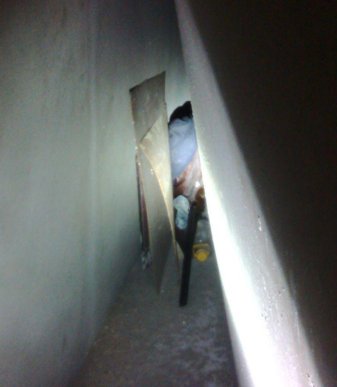 Замість зловмисників мукачівські патрульні виявили незареєстровану зброю – 03