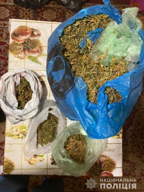 Силовики увірвались у двір 18-річного закарпатця: опубліковано відео – 02