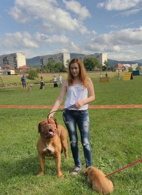 У Мукачеві відбувся "Парад собак" – 04