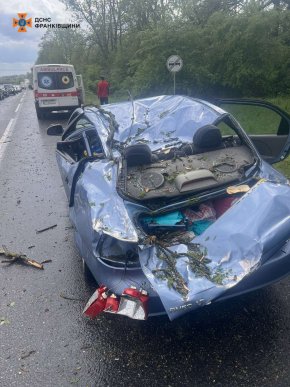 На трасі «Мукачево — Львів» вітер повалив близько 20 дерев: є постраждалі – 02 На трасі «Мукачево — Львів» вітер повалив близько 20 дерев: є постраждалі – 02