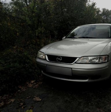 Закарпатські патрульні оприлюднили фото резонансного затримання грабіжників у Нижніх Воротах – 03