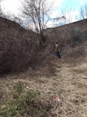 У Мукачеві прибирають територію навколо замку – 01