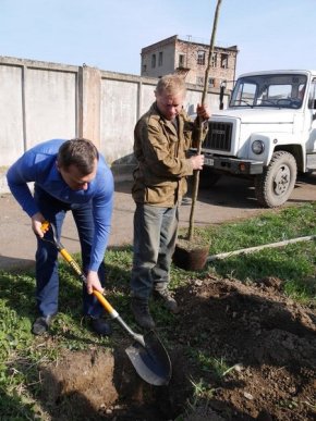 Весняне прибирання або Як Ужгород до ладу приводили – 05 Весняне прибирання або Як Ужгород до ладу приводили – 05