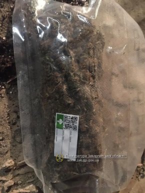 Судитимуть трьох закарпатців: відомо, що вони накоїли – 05