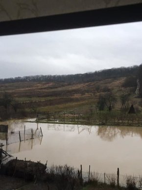 У кількох районах області підтопило дворогосподарства – 05