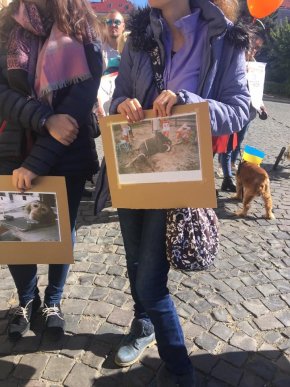 В Ужгороді відбувся марш за права тварин – 05