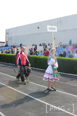 Збірна Франції перемогла на чемпіонаті світу зі слідової роботи службових собак – 40