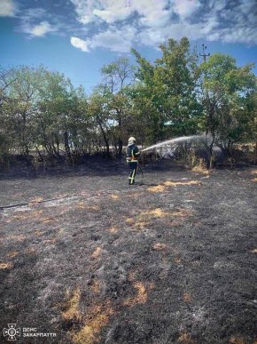 На Закарпатті масово підпалюють сухостій. Рятувальники б’ють на сполох – 05