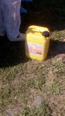 Спочатку тварин присипили, потім скинули у скотомогильник, далі спалили: як на Мукачівщині свиней утилізовують – 12