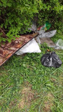 Історія закарпатки шокувала всю країну – 10