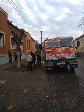 У центральній частині Мукачева обрізають дерева – 03