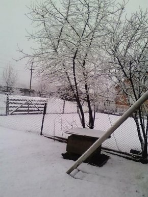 Кілька закарпатських сіл замело снігом – 01 Кілька закарпатських сіл замело снігом – 01