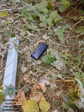 Щоб уникнути покарання, крадійка викинула телефон через вікно – 01