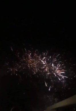 Весілля сина Балоги: відомо, які зірки шоу-бізнесу розважали гостей заходу – 09