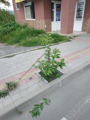 У Хусті невідомі вчинили акт вандалізму – 02