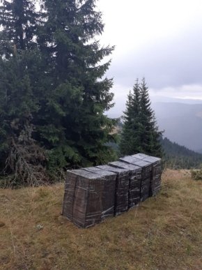 Більше 3 тисяч пачок цигарок намагались переправити через кордон  – 04