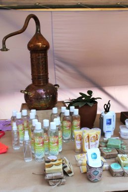 В рамках Дня міста Ужгород відбувся масштабний танцювальний флешмоб – 25