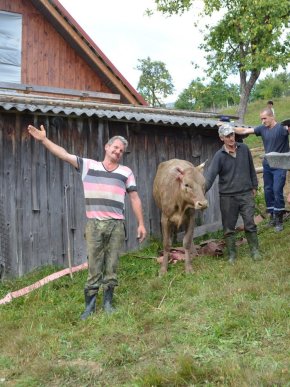 На Воловеччині корова впала у семиметровий колодязь – 04