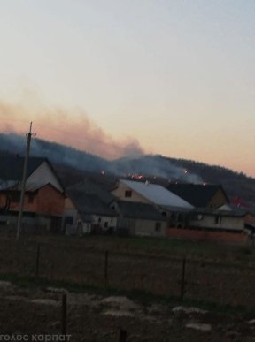 На Іршавщині вирує масштабна пожежа – 02