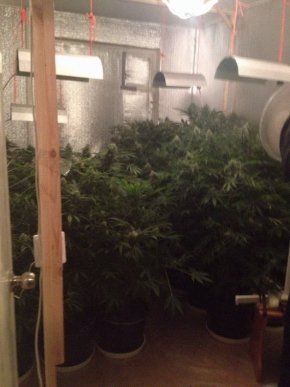 У мікрорайоні Росвигово в Мукачеві поліцейські виявили шокуючу нарколабораторію – 03